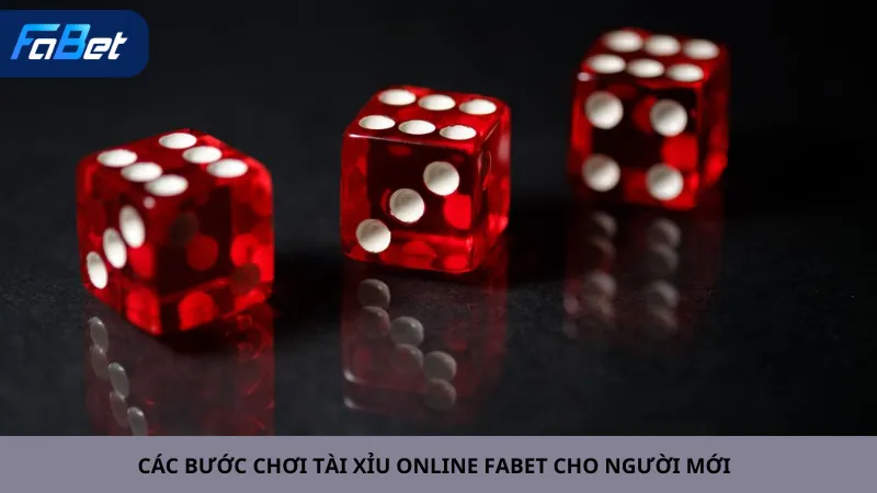 Các Bước Chơi Tài Xỉu Online Fabet Cho Người Mới