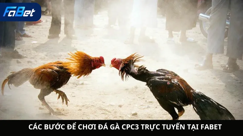 Các Bước Để Chơi Đá Gà CPC3 Trực Tuyến Tại Fabet