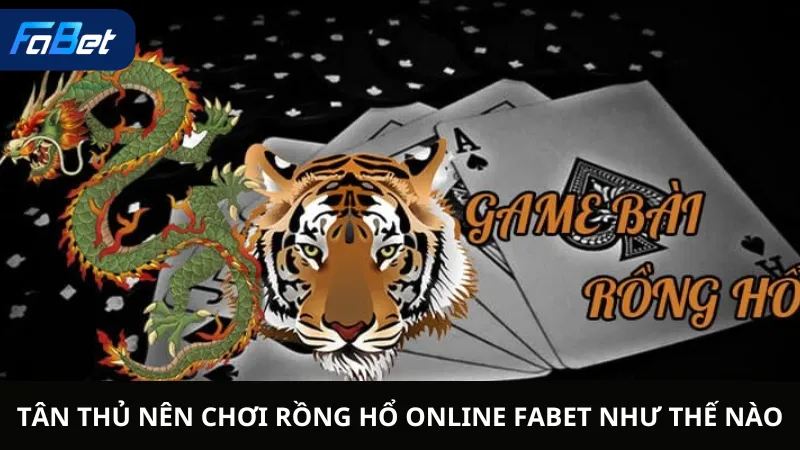 Tân Thủ Nên Chơi Rồng Hổ Online Fabet Như Thế Nào