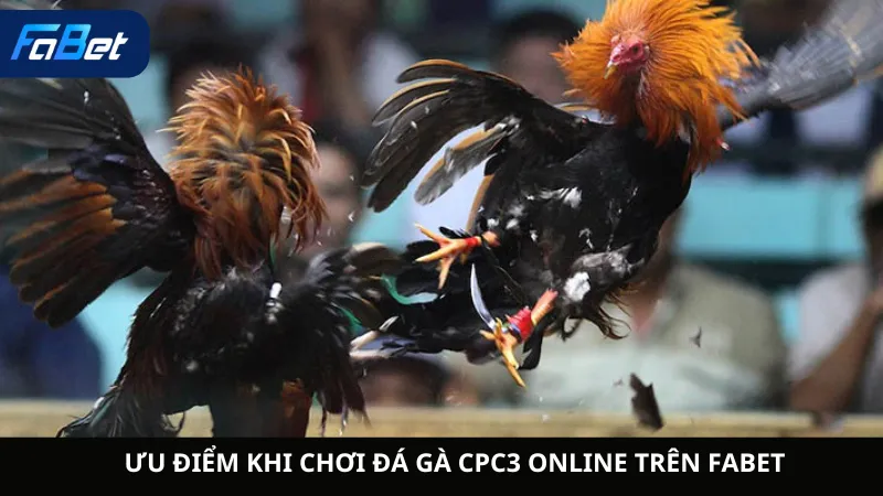 Ưu Điểm Khi Chơi Đá Gà CPC3 Online Trên Fabet